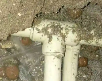 阿拉善左测漏水多少钱