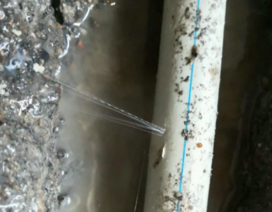 阿拉善左测漏水哪家好