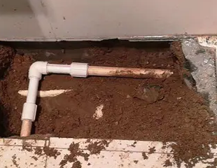 阿拉善左测漏水哪家好