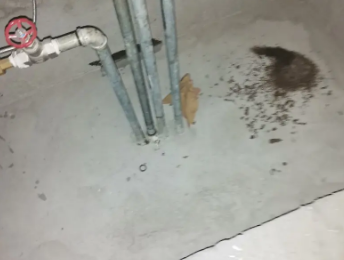 阿拉善左卫生间测漏水价格明细