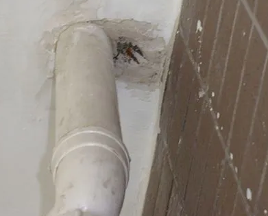 阿拉善左漏水检测哪家好