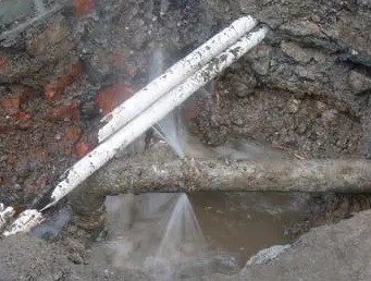 阿拉善左测漏水多少钱